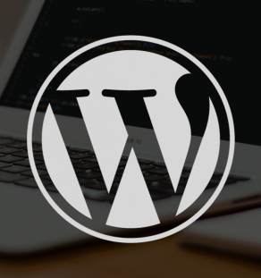 Monthly WordPress website maintenance