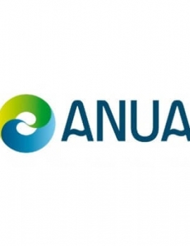 Anua International