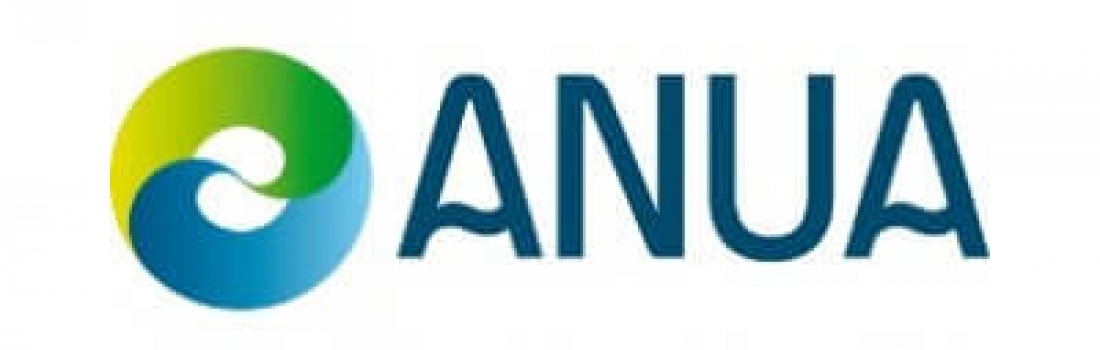 Anua International