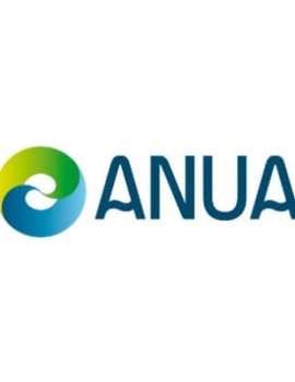 Anua International