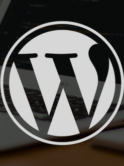 Quarterly WordPress Maintenance