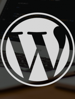 Custom 5hr Monthly WordPress Retainer