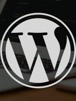 Monthly WordPress Maintenance