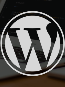 Monthly WordPress Maintenance